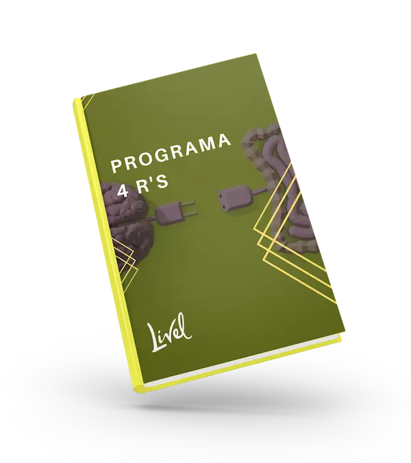 Capa do e-book Programa 4 R's
