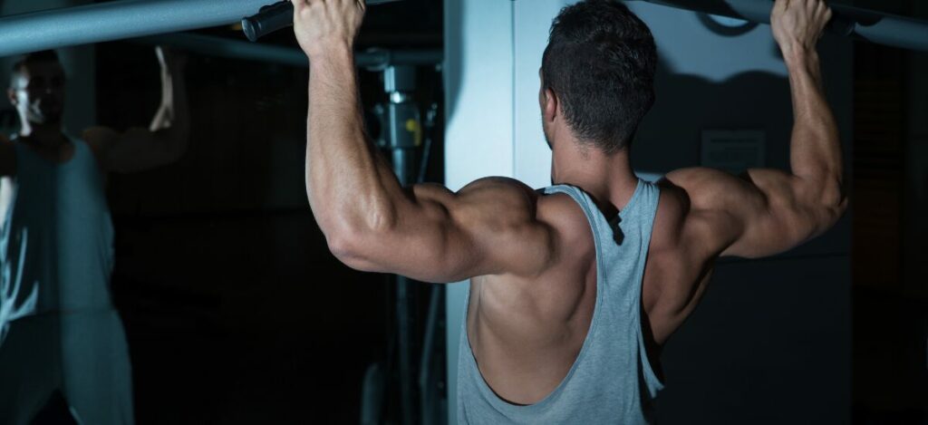 Afinal, o que treinar junto com costas? Melhores Opções